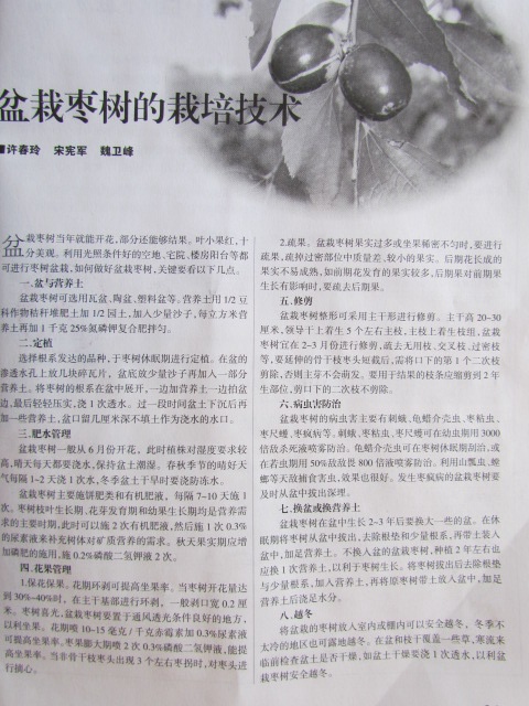2008年中国林业上发表