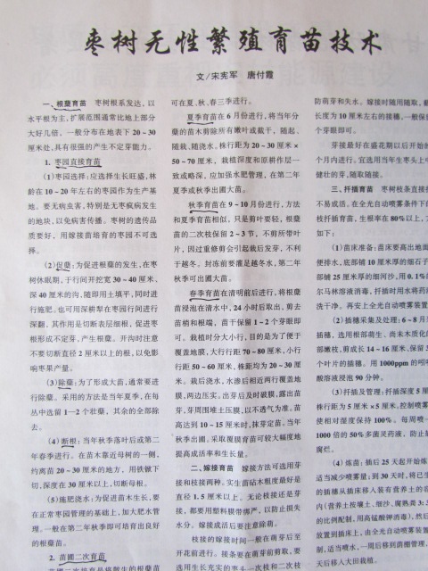 2002年中国林业上发表
