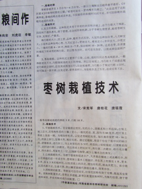 2008年中国林业上发表