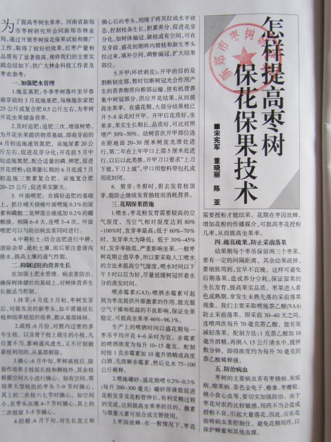 1995年中国林业上发表