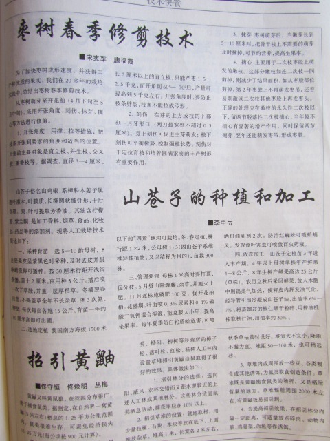 1997年中国林业上发表